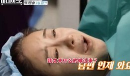 明星爆料生子视频大全集,生子视频大全集温情回顾